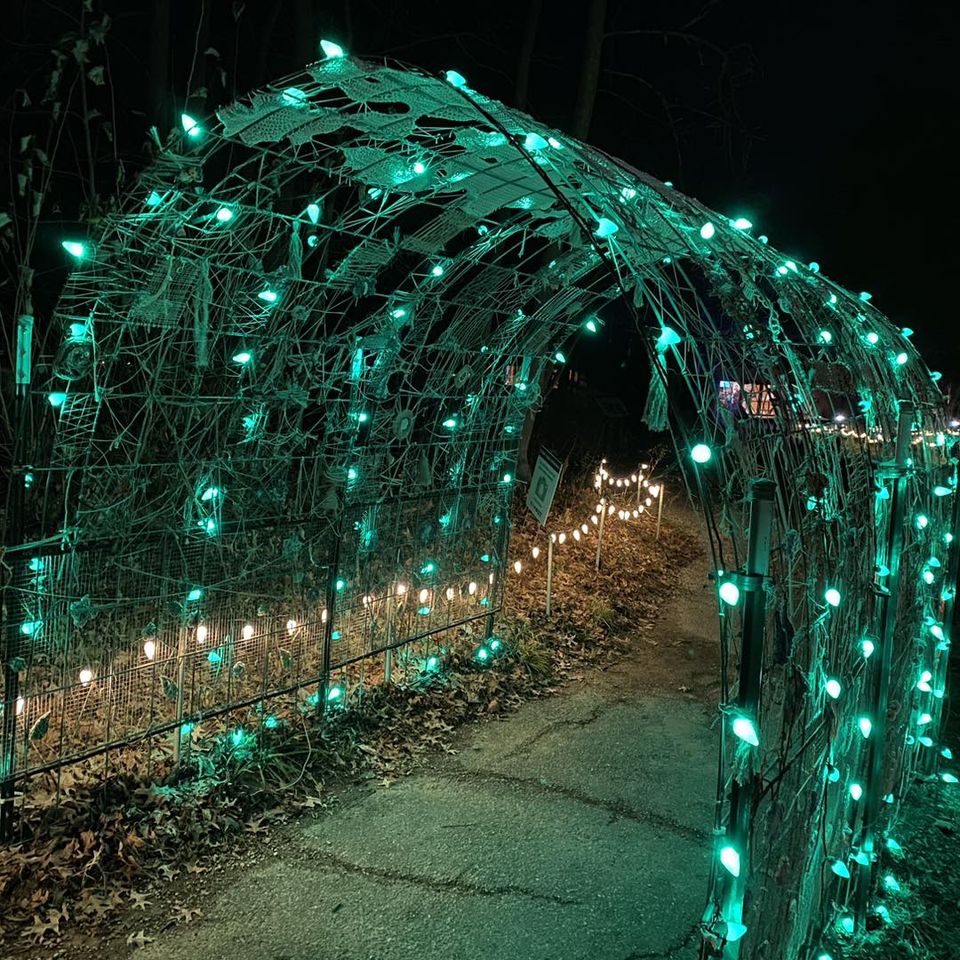 yarnbombed arches with strings of lights